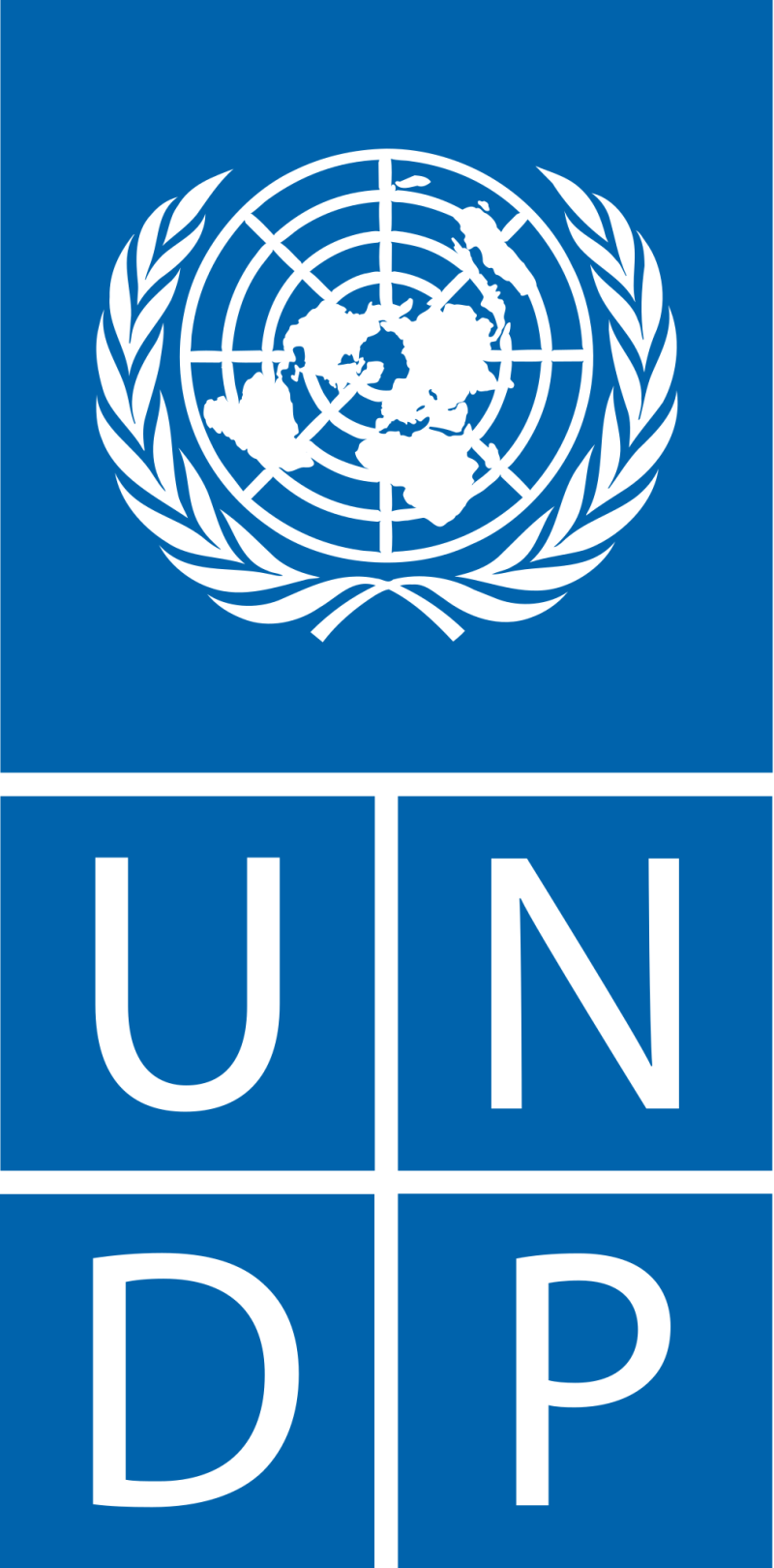United Nations Department of Peace Operations (UNDPO)