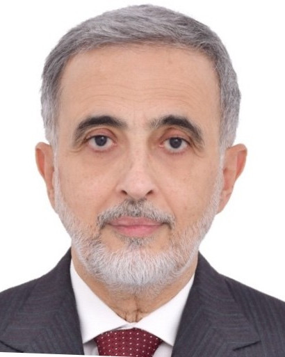 Mohamed  Haykal