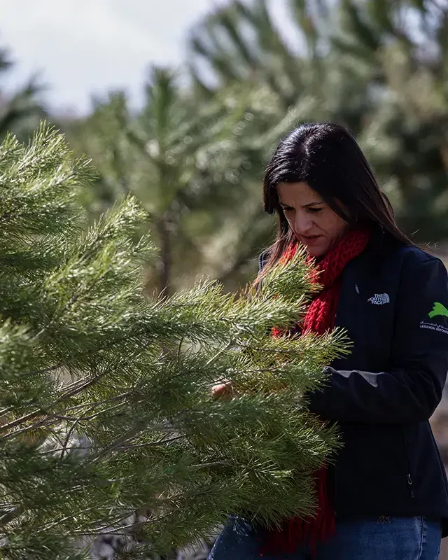 Maya  Nehme
