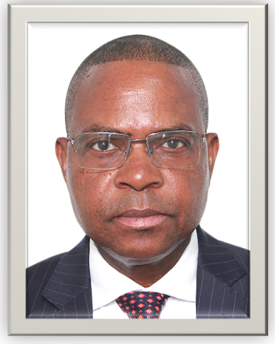 H.E. Geraldo  Gonçalves Miguel Saranga